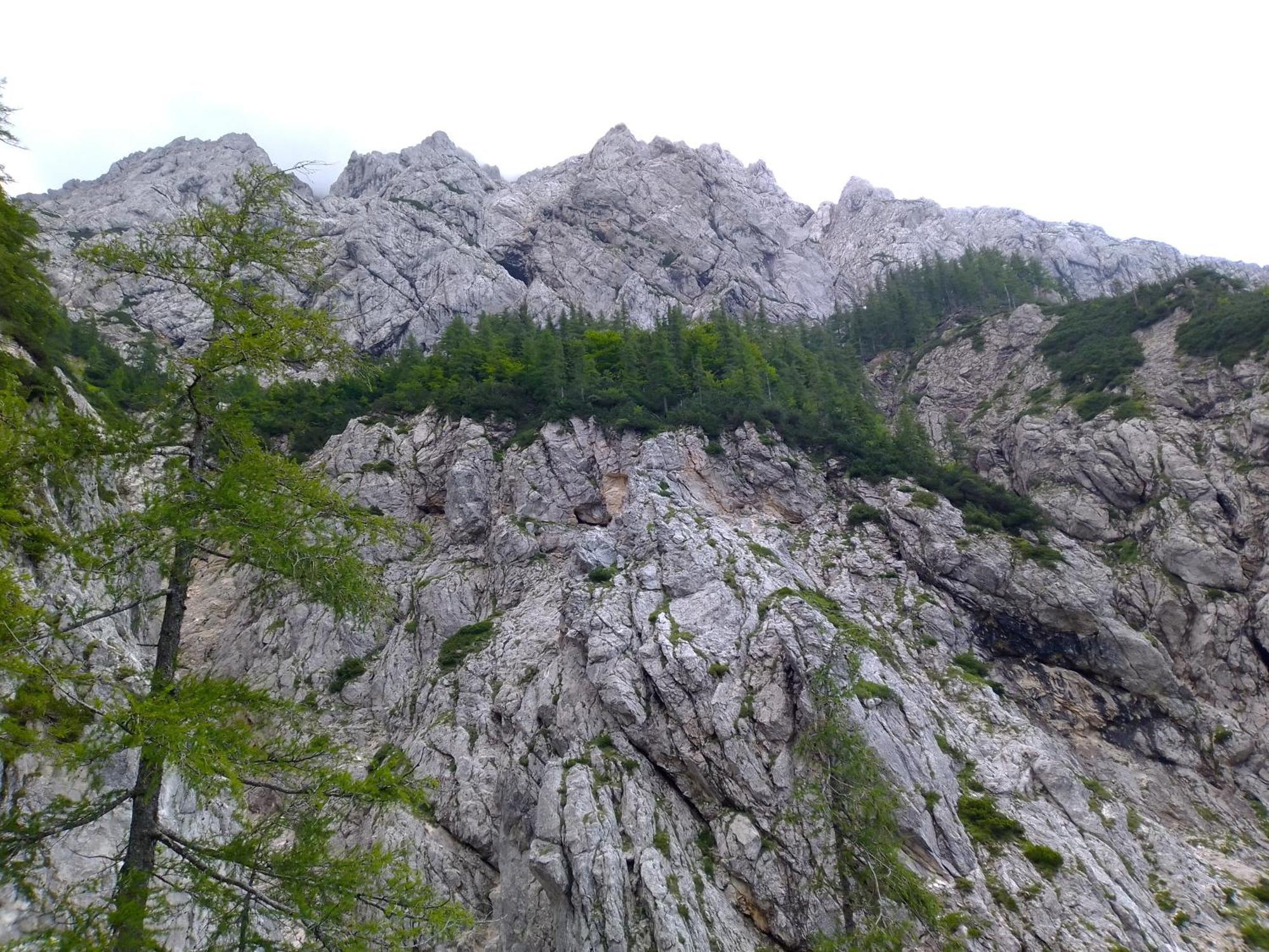 Camping & Glamping Grintovec Преддвор Экстерьер фото